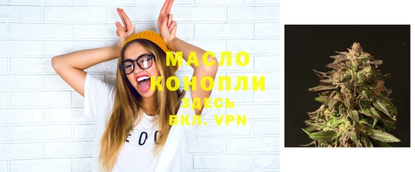 твердый Бронницы