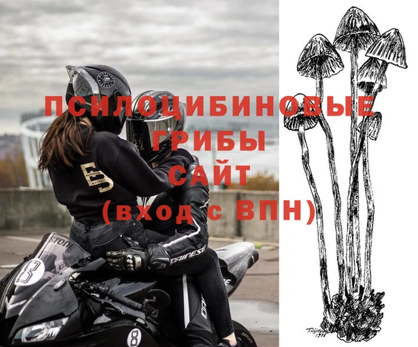 apvp Бугульма