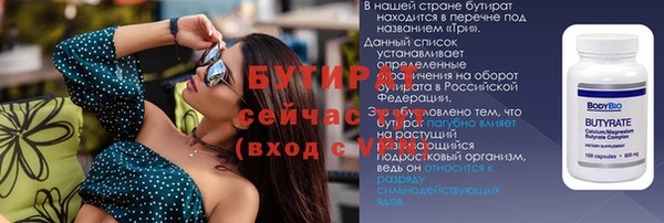 индика Кулебаки