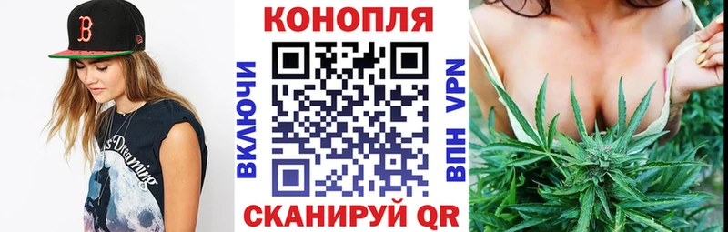 магазин    сайты даркнета наркотические препараты  Конопля марихуана  Семикаракорск  OMG ТОР 